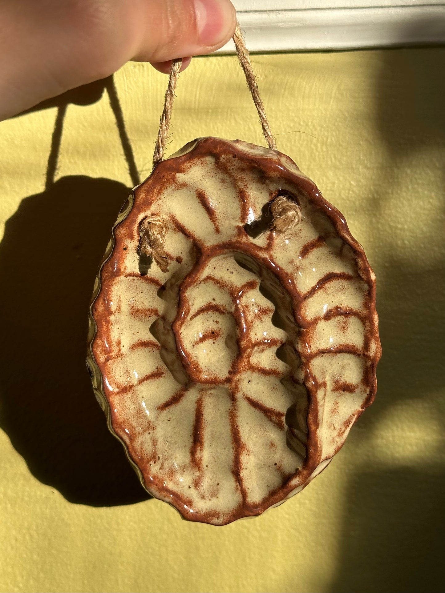 Ammonite Wall Hanging