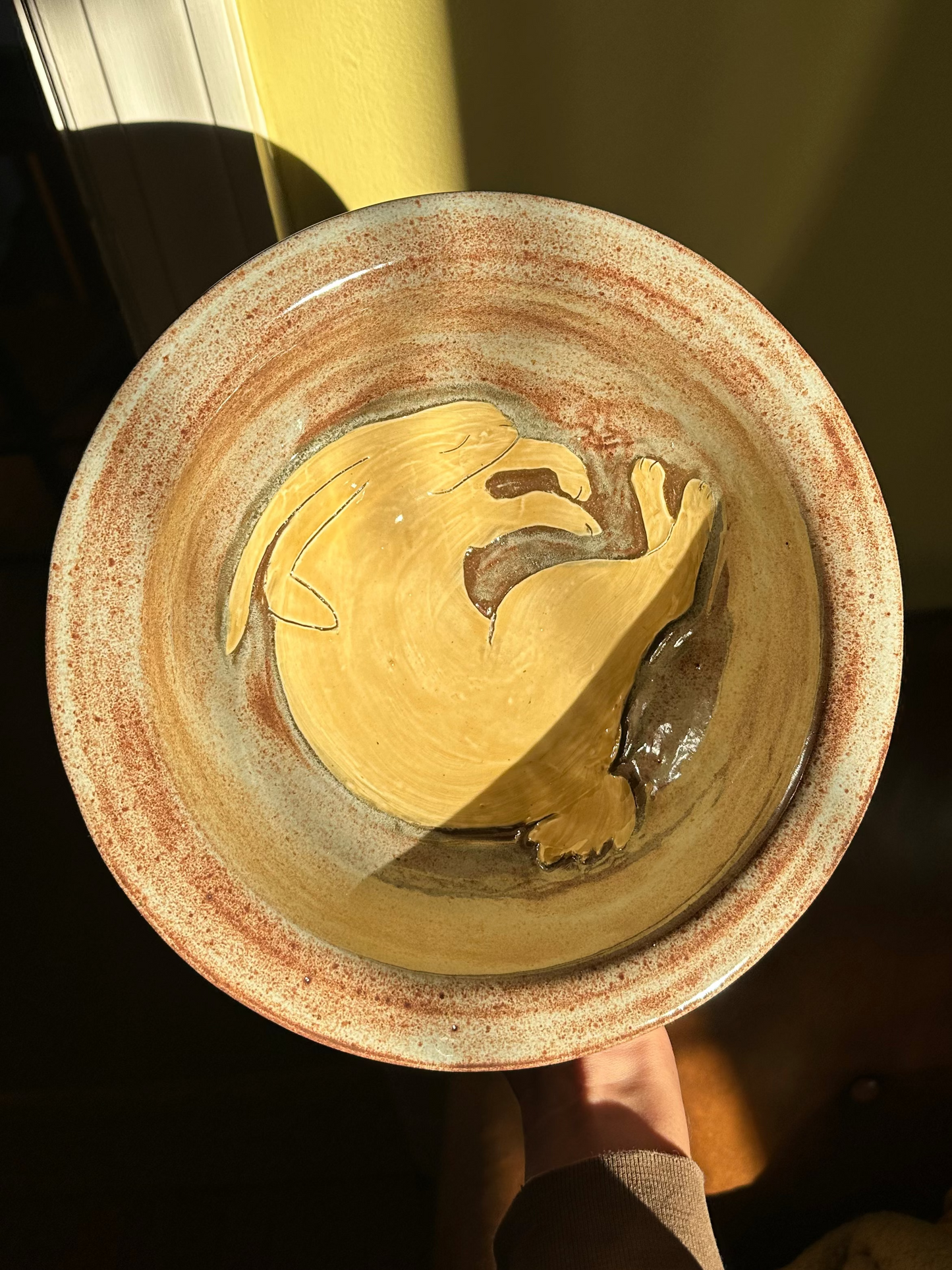 Ceramic bowl with sleeping bunny design held by a person in a sun beam.