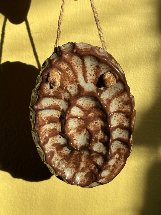 Ammonite Wall Hanging